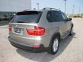 Platinum Bronze Metallic - X5 3.0si Photo No. 4