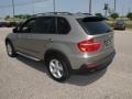 Platinum Bronze Metallic - X5 3.0si Photo No. 6