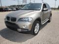 Platinum Bronze Metallic - X5 3.0si Photo No. 9