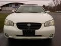 Icelandic Pearl - Maxima SE Photo No. 2