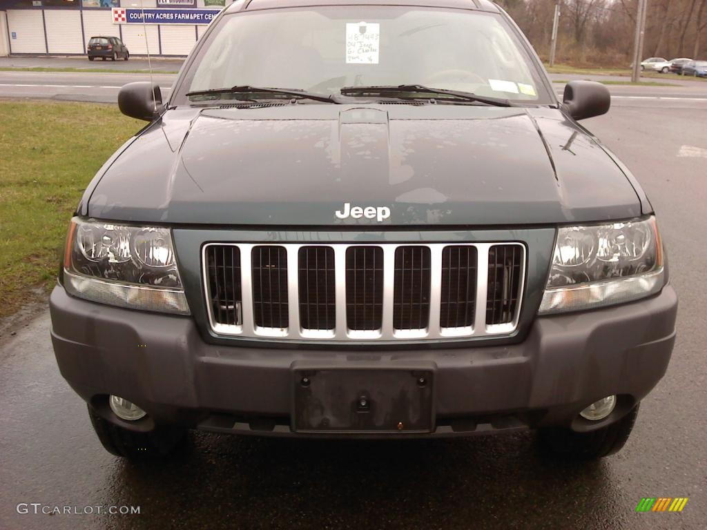 2004 Grand Cherokee Laredo 4x4 - Deep Beryl Green Pearl / Taupe photo #2