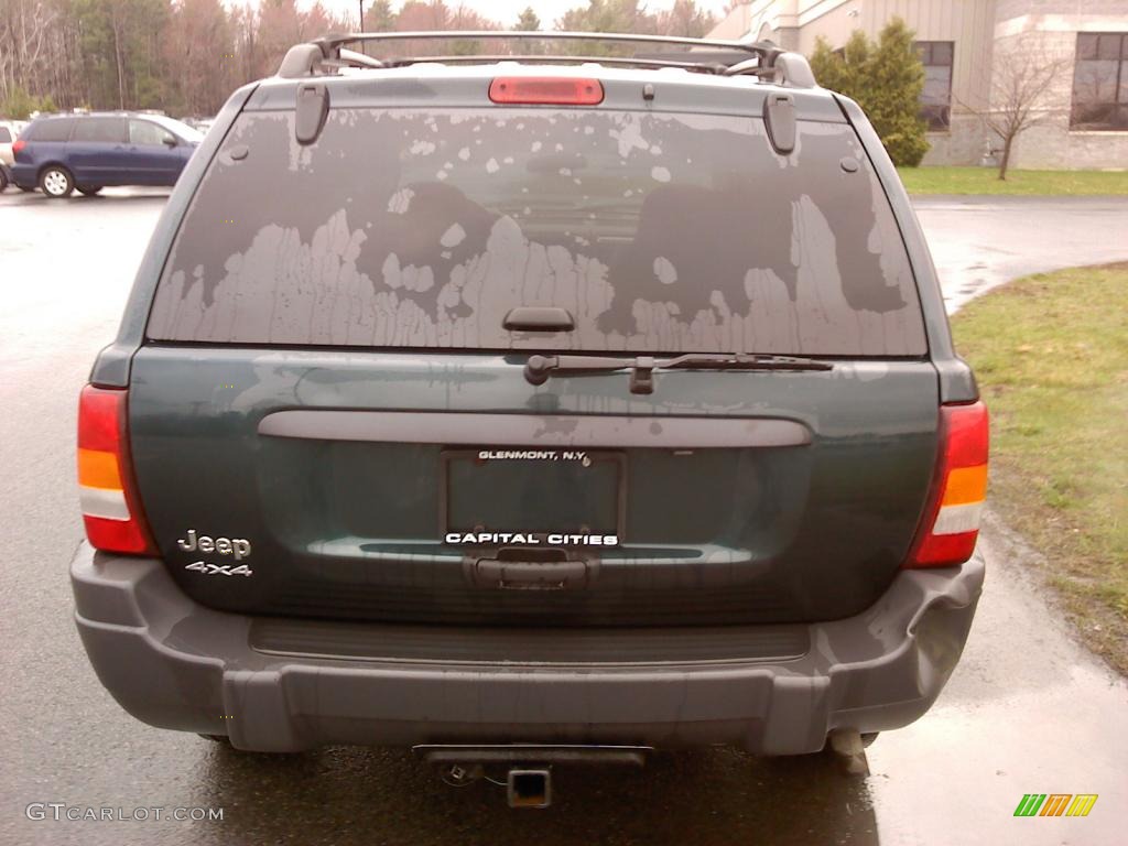 2004 Grand Cherokee Laredo 4x4 - Deep Beryl Green Pearl / Taupe photo #5