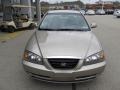 Champagne Beige - Elantra GLS Sedan Photo No. 10