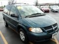 2002 Aquamarine Metallic Dodge Caravan SE  photo #11