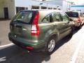 2007 Green Tea Metallic Honda CR-V LX  photo #2