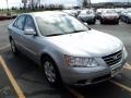 2010 Radiant Silver Hyundai Sonata GLS  photo #11