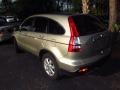 2008 Borrego Beige Metallic Honda CR-V EX-L 4WD  photo #3