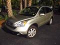 2008 Borrego Beige Metallic Honda CR-V EX-L 4WD  photo #4