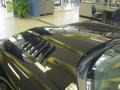 Viper Black - Viper SRT-10 Coupe Photo No. 17