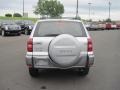 Titanium Metallic - RAV4  Photo No. 4