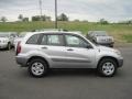 Titanium Metallic - RAV4  Photo No. 6