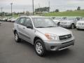 Titanium Metallic - RAV4  Photo No. 7