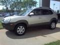 Sahara Silver - Tucson GLS V6 Photo No. 18