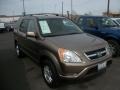 2004 Mojave Mist Metallic Honda CR-V EX 4WD  photo #2