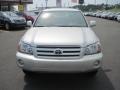 Millenium Silver Metallic - Highlander  Photo No. 8