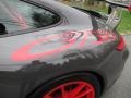 2010 Porsche 911 GT3 RS Marks and Logos