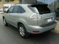 Bamboo Pearl - RX 330 AWD Photo No. 3