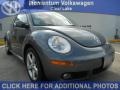 Platinum Grey - New Beetle TDI Coupe Photo No. 1