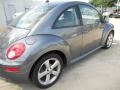 Platinum Grey - New Beetle TDI Coupe Photo No. 7
