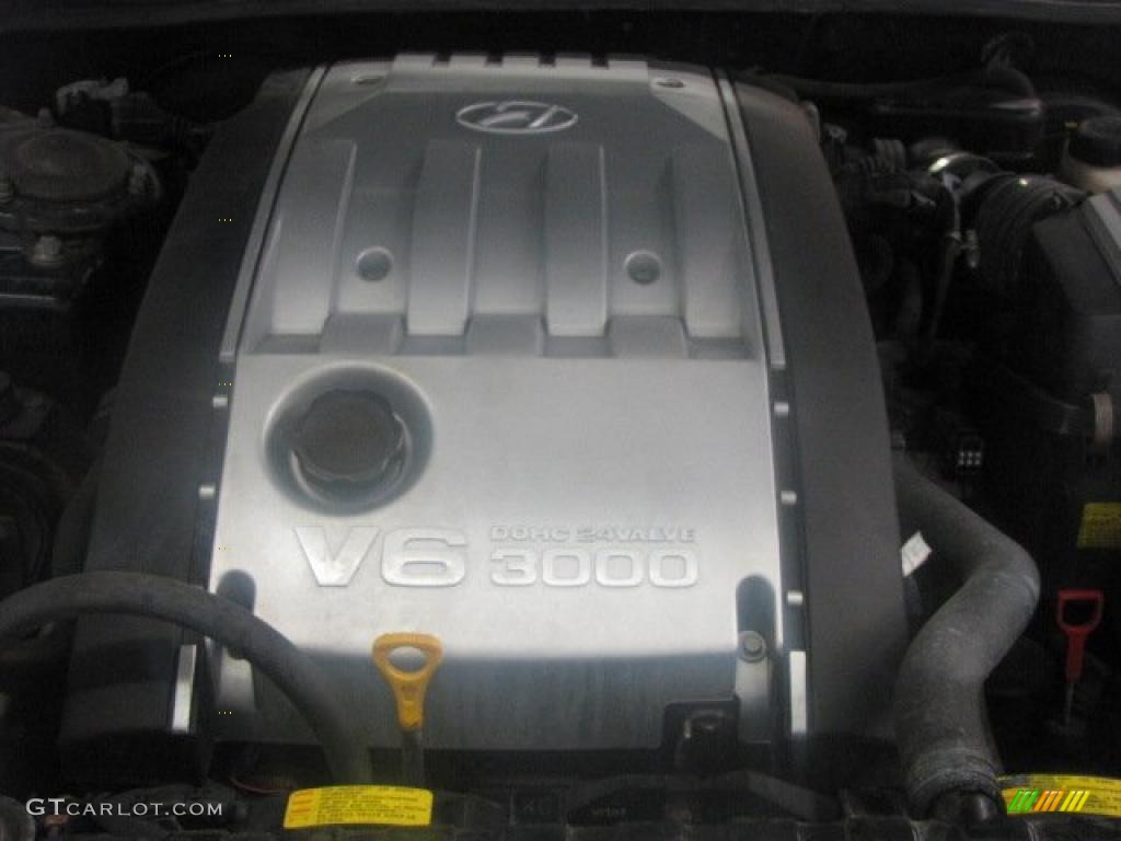 2001 Hyundai XG300 Sedan 3.0 Liter DOHC 24-Valve V6 Engine Photo #48325412