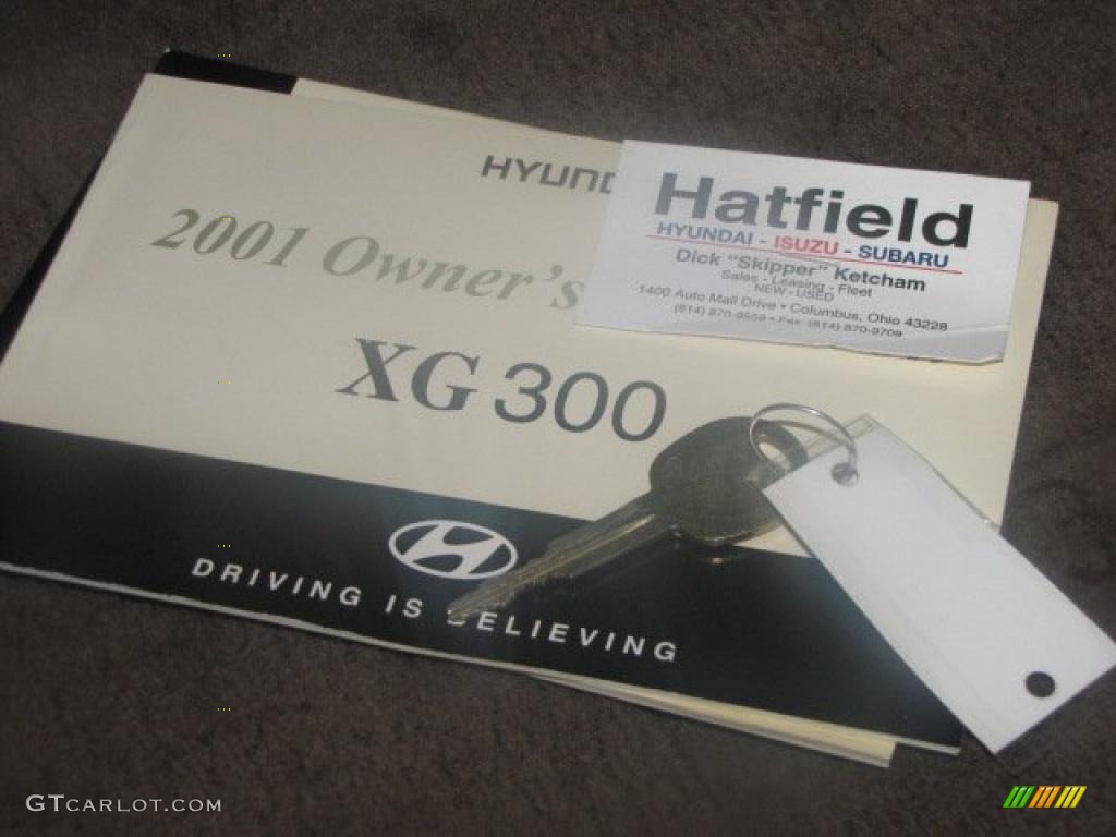 2001 Hyundai XG300 Sedan Books/Manuals Photo #48325418