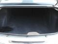 Satin Jade Pearlcoat - 300 C HEMI Photo No. 11