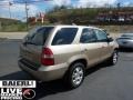 Mesa Beige Metallic - MDX Touring Photo No. 7