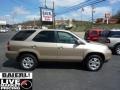 Mesa Beige Metallic - MDX Touring Photo No. 8