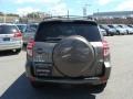 Pyrite Metallic - RAV4 I4 4WD Photo No. 5