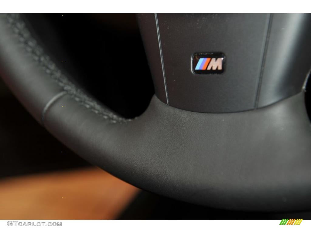2010 BMW 5 Series 550i Sedan Marks and Logos Photo #48334501