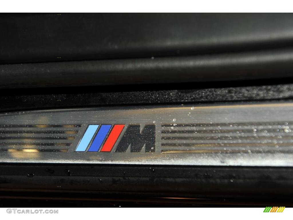 2010 BMW 5 Series 550i Sedan Marks and Logos Photo #48334540