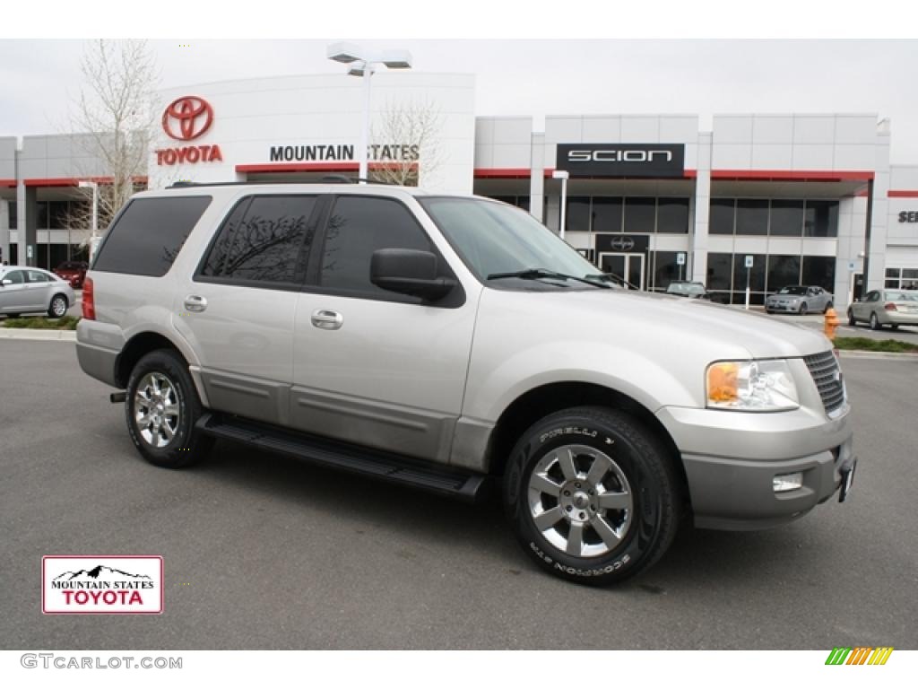 2003 Expedition XLT - Silver Birch Metallic / Flint Grey photo #1