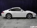 2009 Carrara White Porsche 911 Carrera Coupe  photo #6