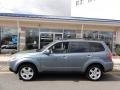 2009 Sage Green Metallic Subaru Forester 2.5 X L.L.Bean Edition  photo #2