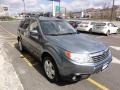 2009 Sage Green Metallic Subaru Forester 2.5 X L.L.Bean Edition  photo #7