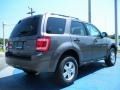2011 Sterling Grey Metallic Ford Escape XLT  photo #3