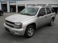 Silverstone Metallic - TrailBlazer LS 4x4 Photo No. 1