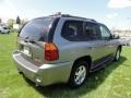 Steel Grey Metallic - Envoy Denali 4x4 Photo No. 8