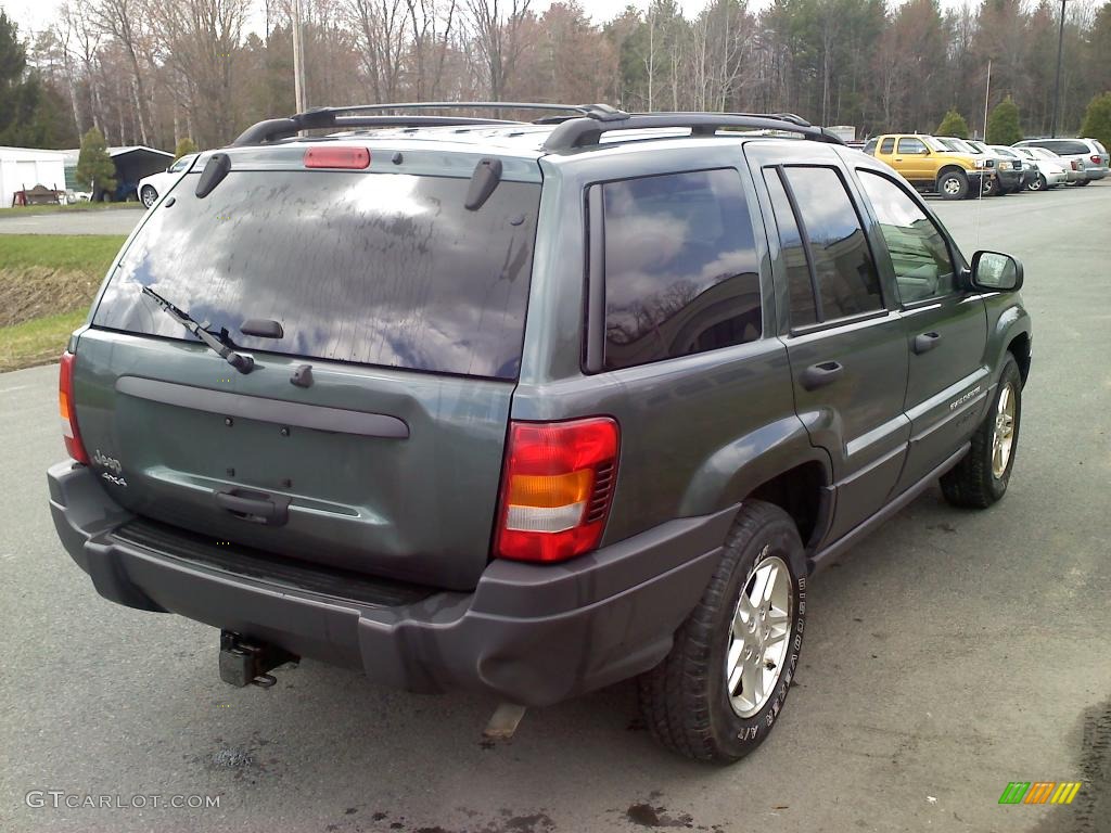 2004 Grand Cherokee Laredo 4x4 - Onyx Green Pearl / Taupe photo #6