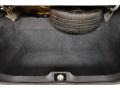 Dark Charcoal Trunk Photo for 2009 Ford Crown Victoria #48344884