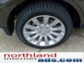 2011 Earth Metallic Lincoln MKX Limited Edition AWD  photo #8