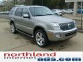 Vapor Silver Metallic - Mountaineer Premier AWD Photo No. 2