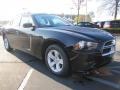Brilliant Black Crystal Pearl - Charger SE Photo No. 4