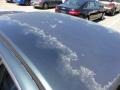 Eucalyptus Green Pearl - Accord VP Sedan Photo No. 22