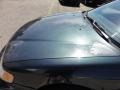 Eucalyptus Green Pearl - Accord VP Sedan Photo No. 41