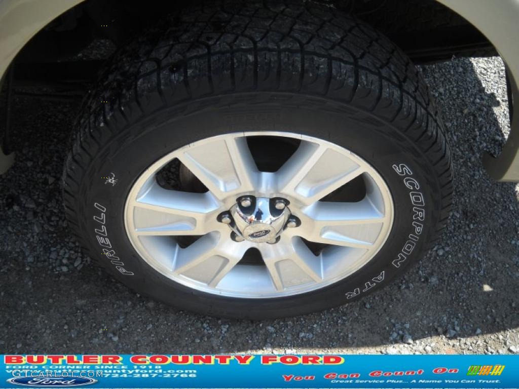 2010 F150 Lariat SuperCrew 4x4 - Ingot Silver Metallic / Black photo #13