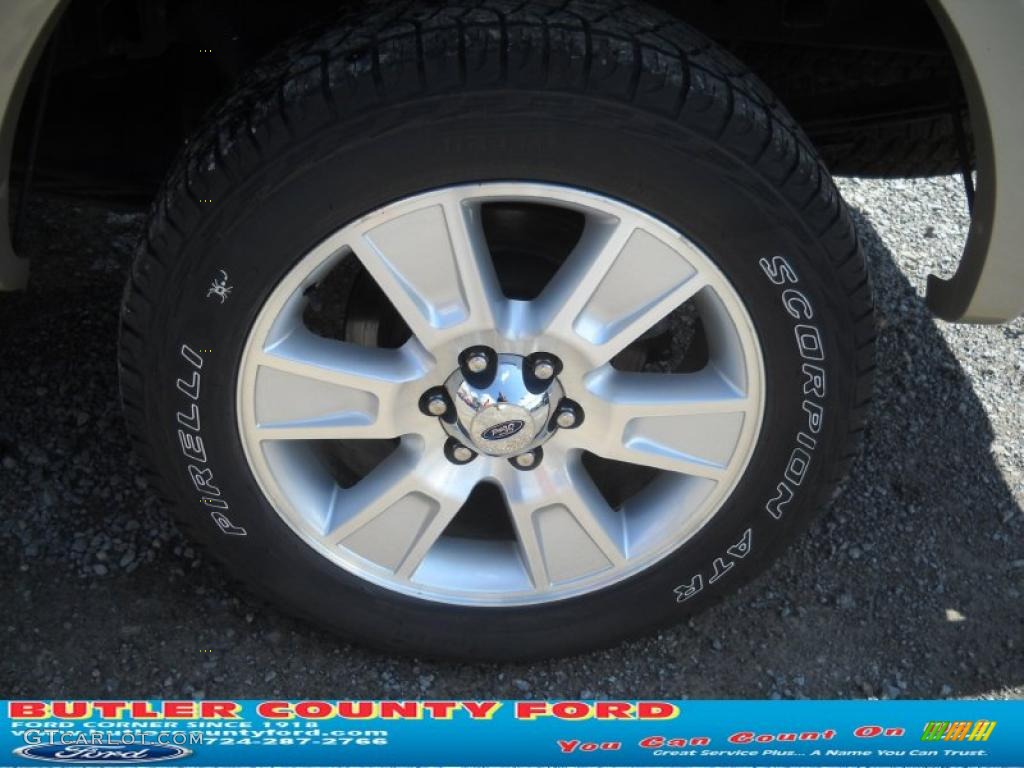 2010 F150 Lariat SuperCrew 4x4 - Ingot Silver Metallic / Black photo #14