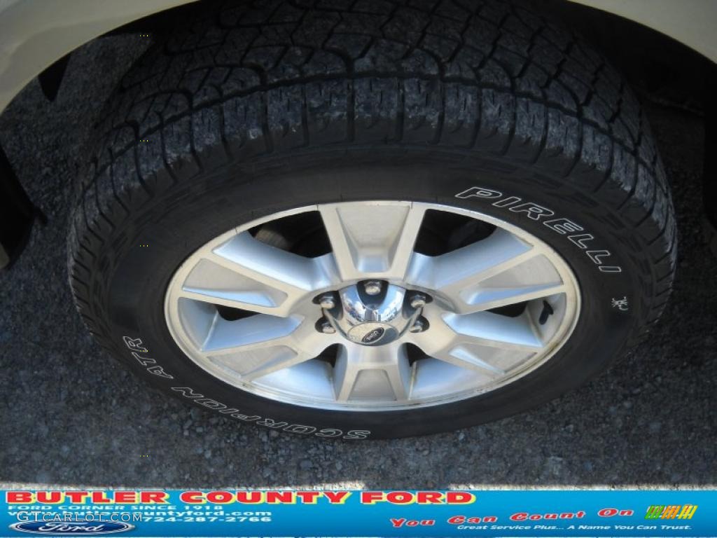 2010 F150 Lariat SuperCrew 4x4 - Ingot Silver Metallic / Black photo #16