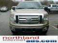 2011 Pale Adobe Metallic Ford F150 XLT SuperCab 4x4  photo #3