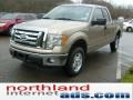 2011 Pale Adobe Metallic Ford F150 XLT SuperCab 4x4  photo #4